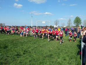 开云·体育官方网站入口-圣基茨和尼维斯青少年体育节火热举办,圣基茨和尼维斯馆